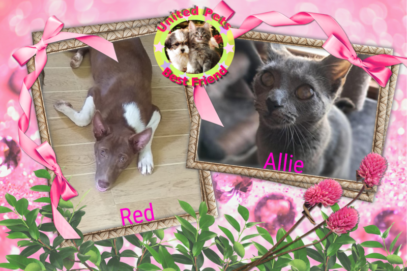 TuckersMom uploaded   98  day/s  ago