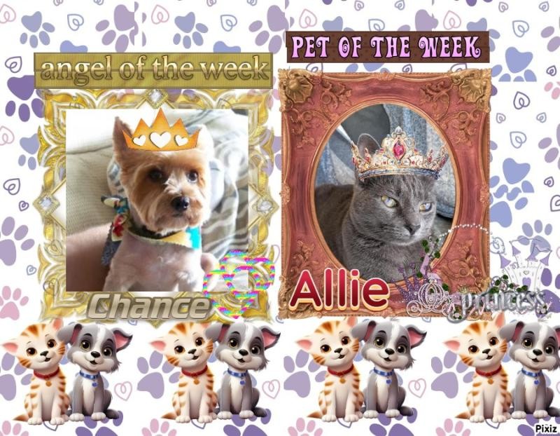 Allie of the TuckersMom family