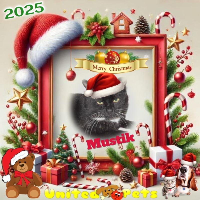 Mustik of the Ulvi2016 family