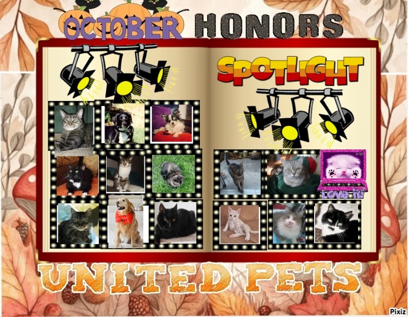 Mustik of the Ulvi2016 family