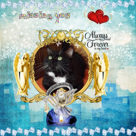 Mustik of the Ulvi2016 family