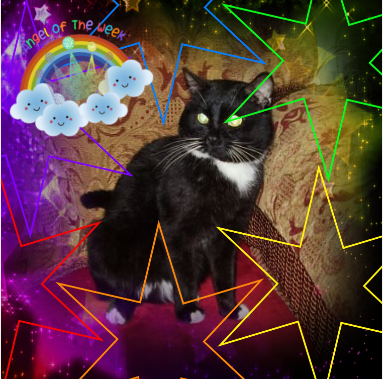 Mustik of the Ulvi2016 family