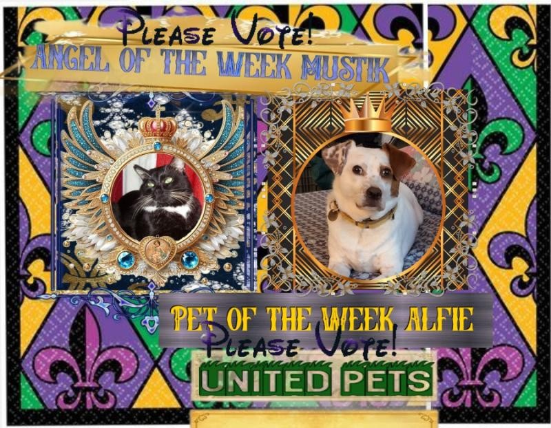 Mustik of the Ulvi2016 family