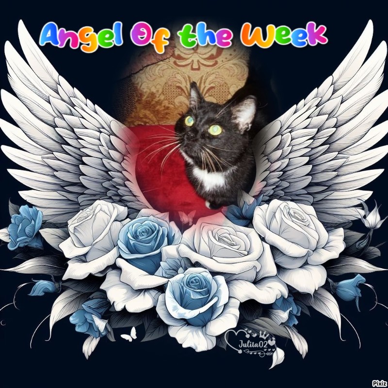 Mustik of the Ulvi2016 family