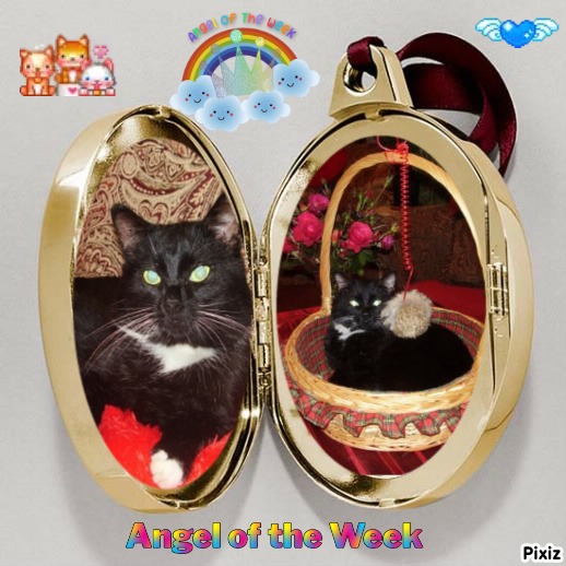 Mustik of the Ulvi2016 family