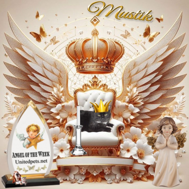 Mustik of the Ulvi2016 family