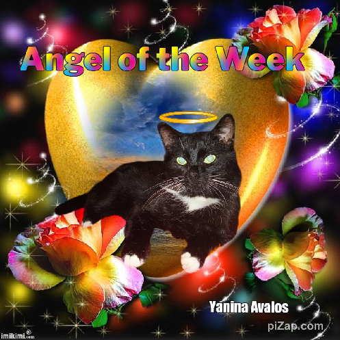 Mustik of the Ulvi2016 family