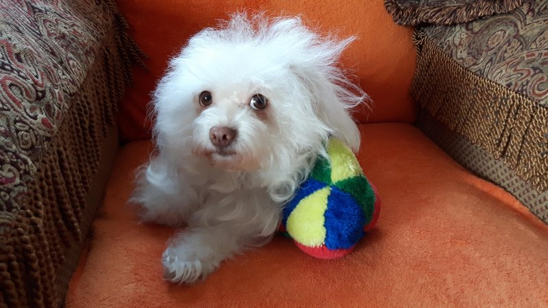 Ulvi2016 uploaded   8 year/s ago