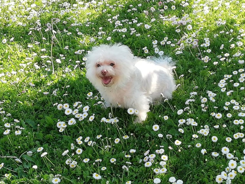 Ulvi2016 uploaded   6 year/s ago