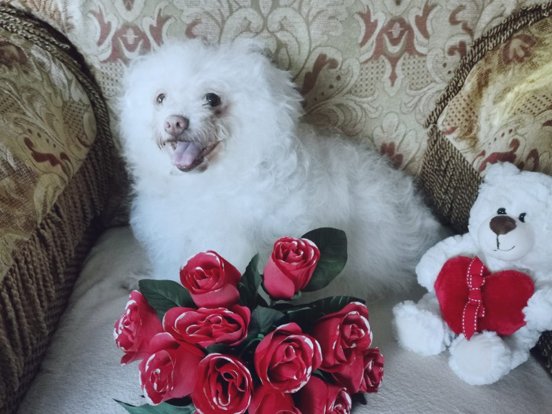 Ulvi2016 uploaded   3 year/s ago