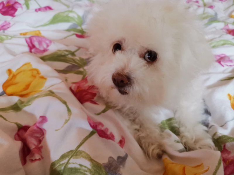 Ulvi2016 uploaded   5 year/s ago