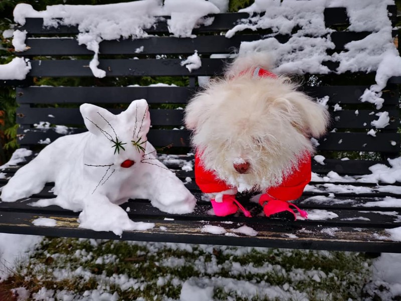 Ulvi2016 uploaded   5 year/s ago