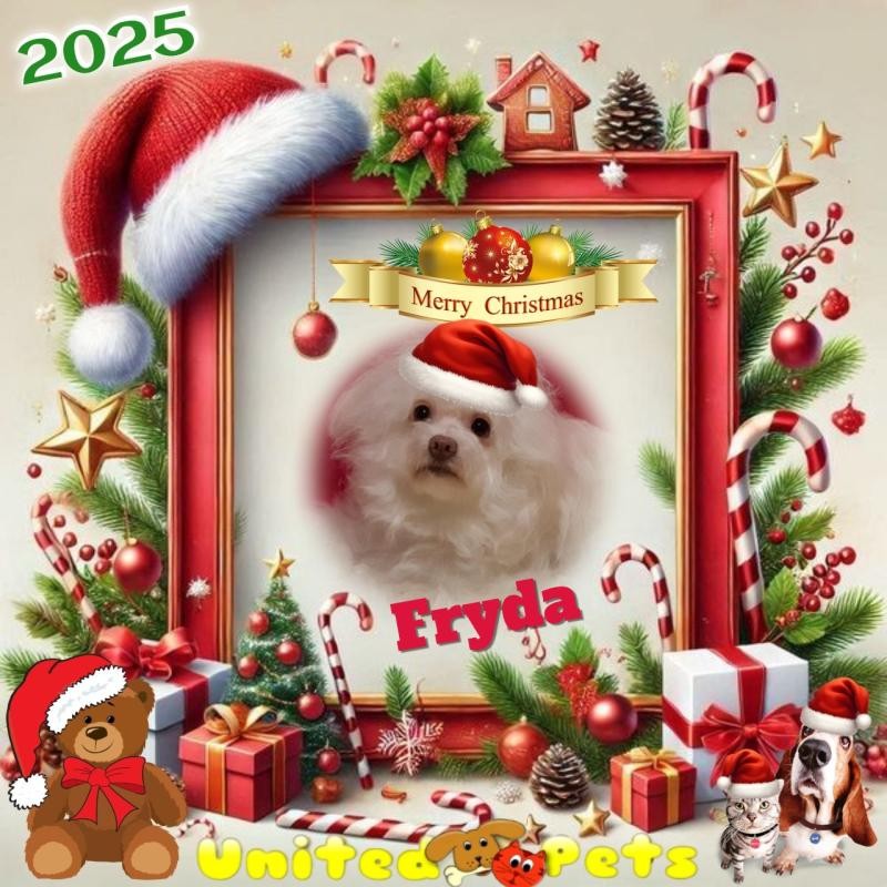 Fryda of the Ulvi2016 family