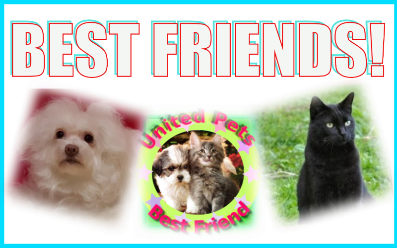 Fryda of the Ulvi2016 family