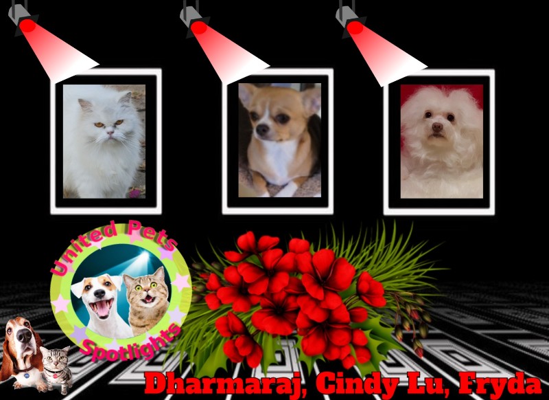 Ulvi2016 uploaded   12 hour/s ago