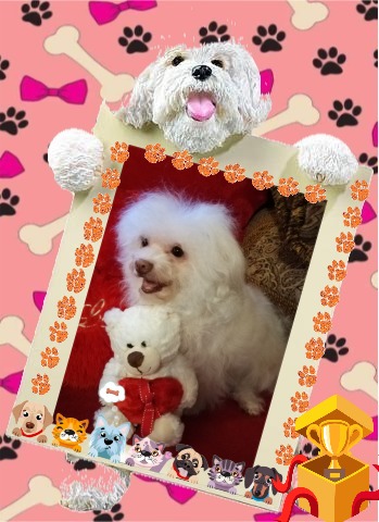 Fryda of the Ulvi2016 family