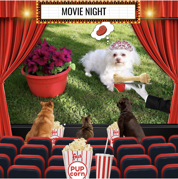 Fryda of the Ulvi2016 family