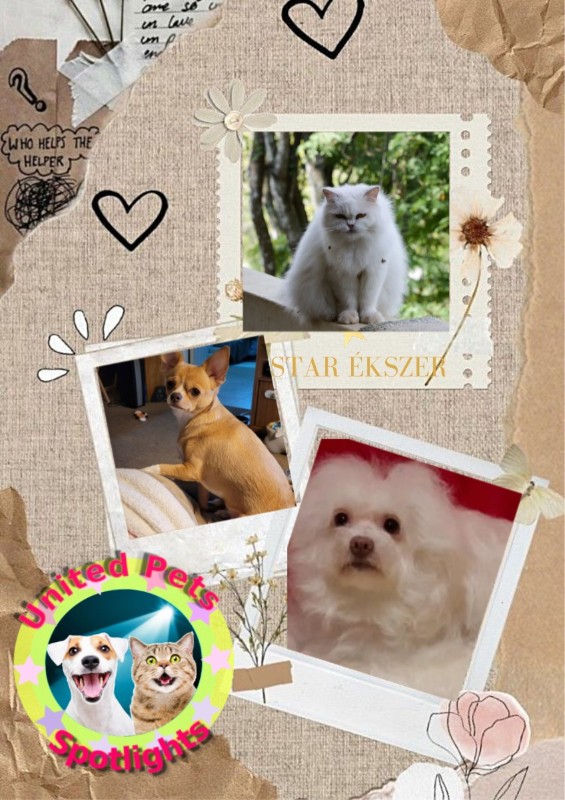 Fryda of the Ulvi2016 family