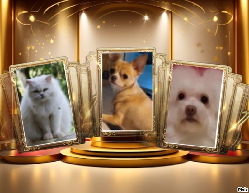 Fryda of the Ulvi2016 family