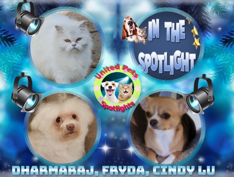 Fryda of the Ulvi2016 family