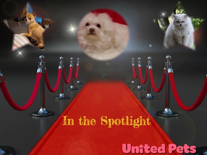 Fryda of the Ulvi2016 family