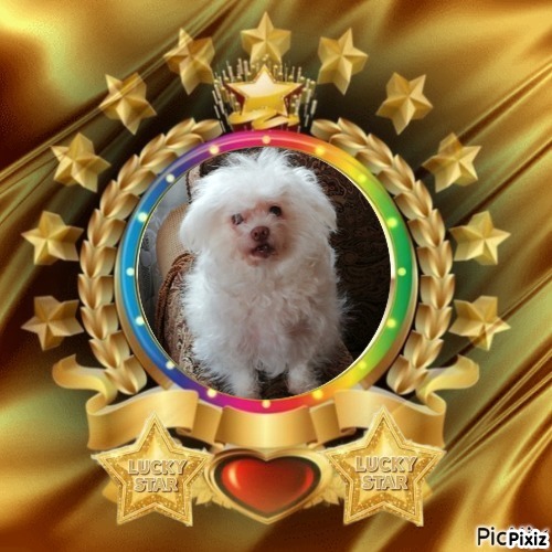 Fryda of the Ulvi2016 family
