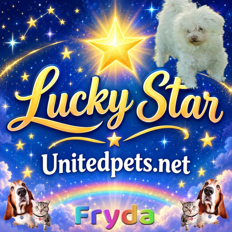 Fryda of the Ulvi2016 family