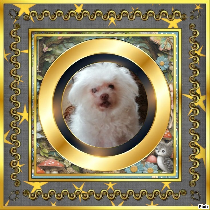 Fryda of the Ulvi2016 family
