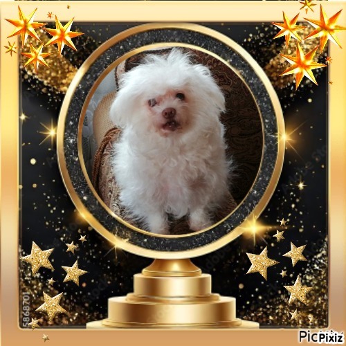 Fryda of the Ulvi2016 family