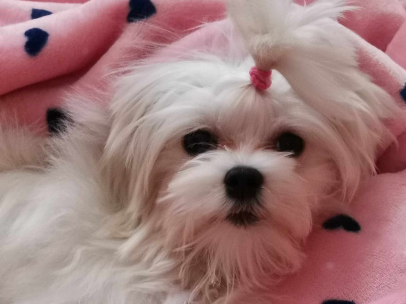 Ulvi2016 uploaded   2 year/s ago