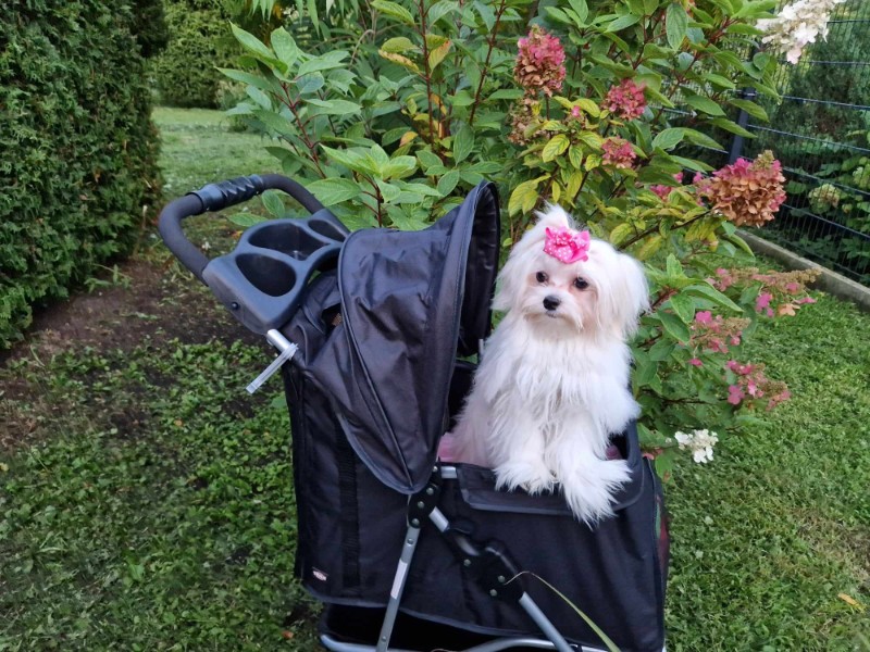 Ulvi2016 uploaded   2 year/s ago