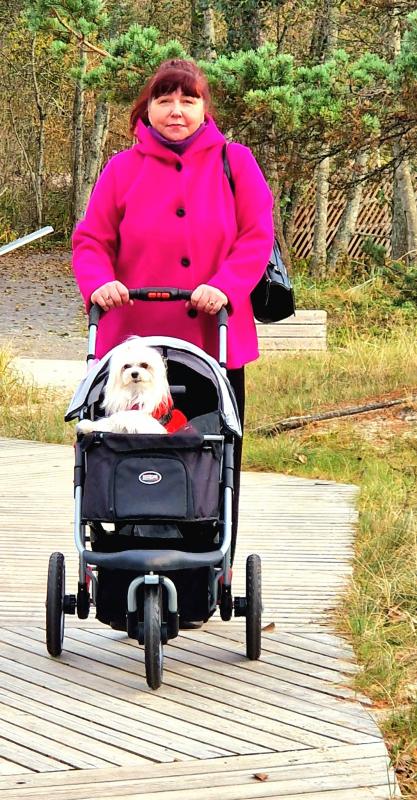 Ulvi2016 uploaded   185  day/s  ago