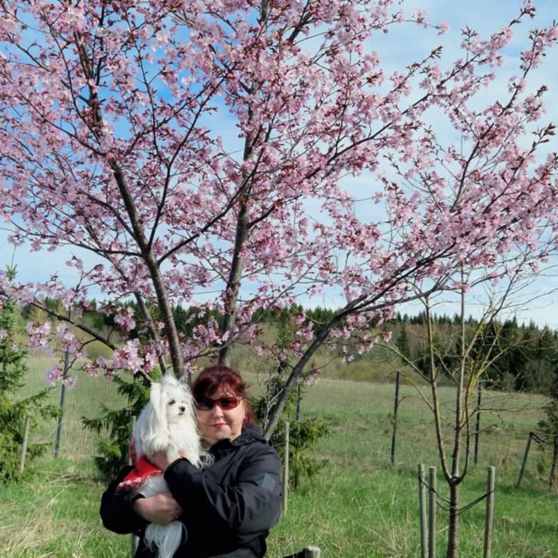 Ulvi2016 uploaded   1 year/s ago