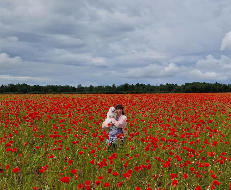 Ulvi2016 uploaded   311  day/s  ago