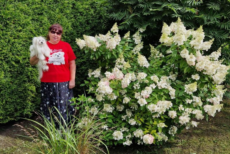 Ulvi2016 uploaded   261  day/s  ago