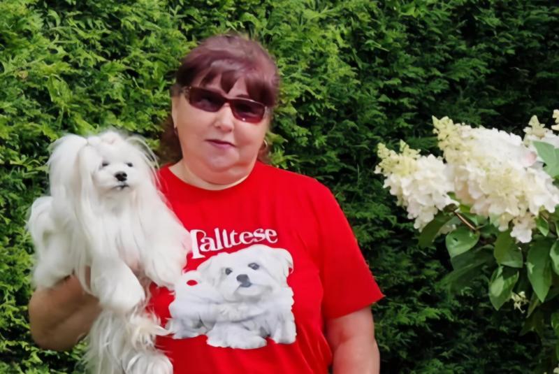 Ulvi2016 uploaded   261  day/s  ago