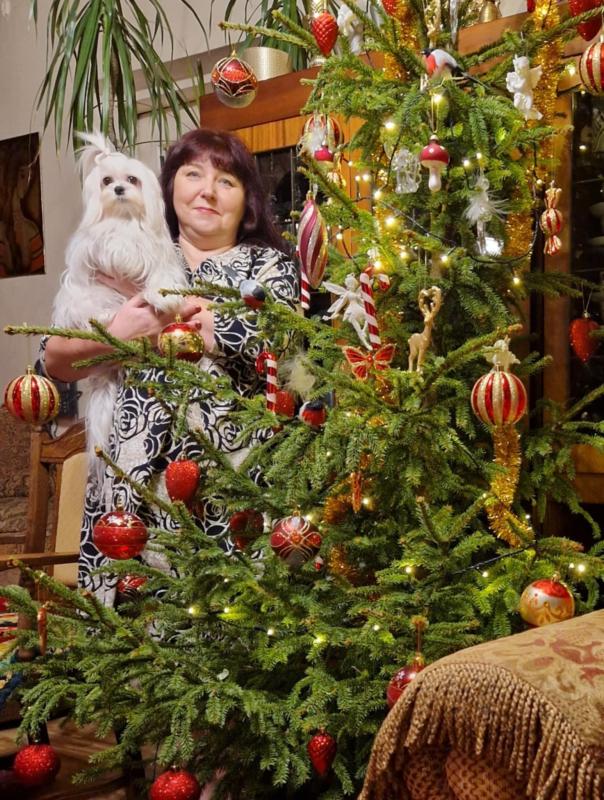 Ulvi2016 uploaded   1 year/s ago