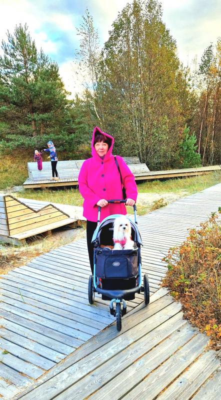 Ulvi2016 uploaded   185  day/s  ago