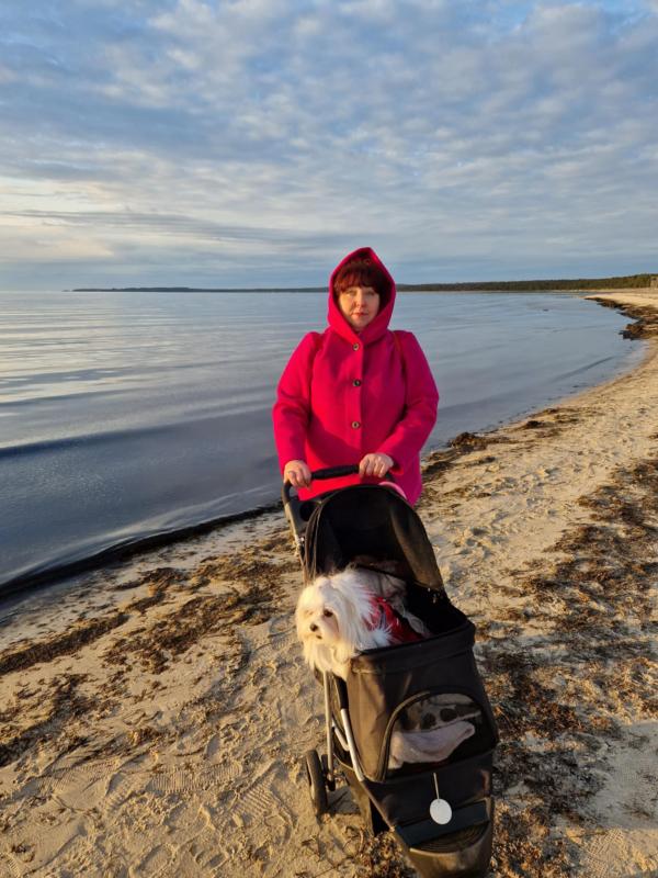 Ulvi2016 uploaded   1 year/s ago