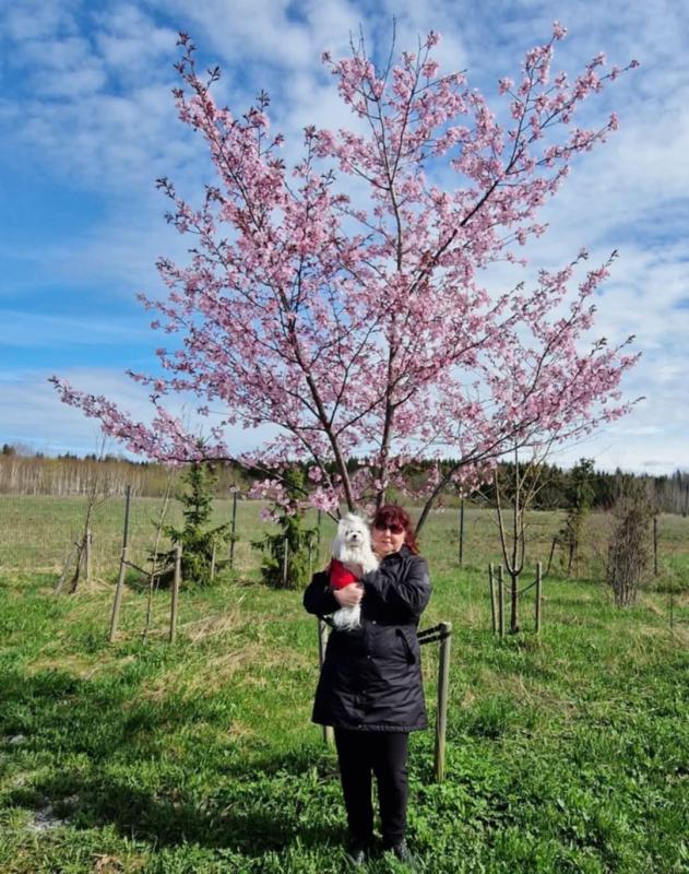 Ulvi2016 uploaded   1 year/s ago