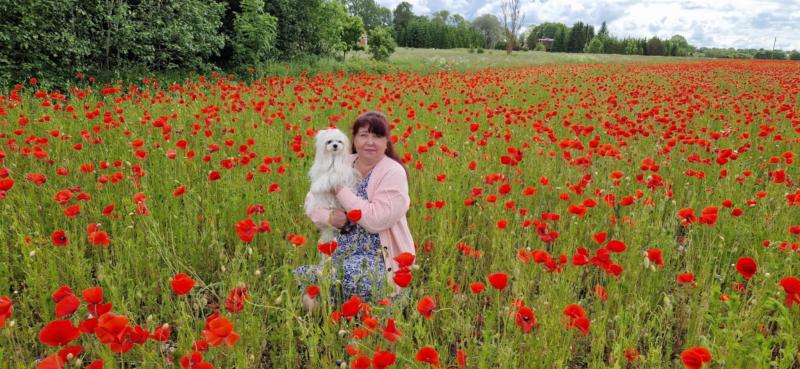 Ulvi2016 uploaded   311  day/s  ago