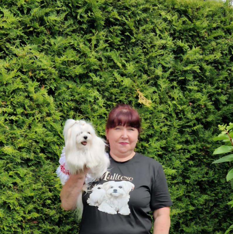 Ulvi2016 uploaded   288  day/s  ago