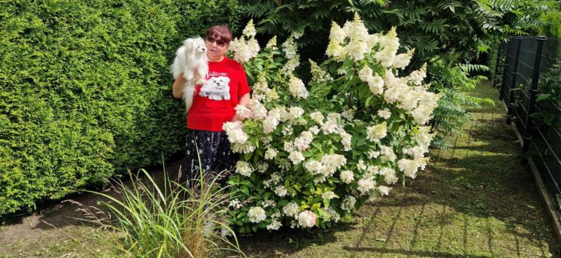 Ulvi2016 uploaded   261  day/s  ago