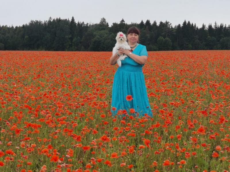 Ulvi2016 uploaded   2 year/s ago