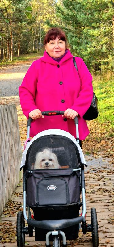 Ulvi2016 uploaded   185  day/s  ago