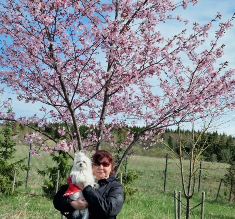 Ulvi2016 uploaded   1 year/s ago