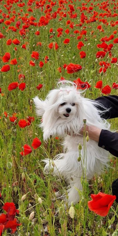 Ulvi2016 uploaded   311  day/s  ago