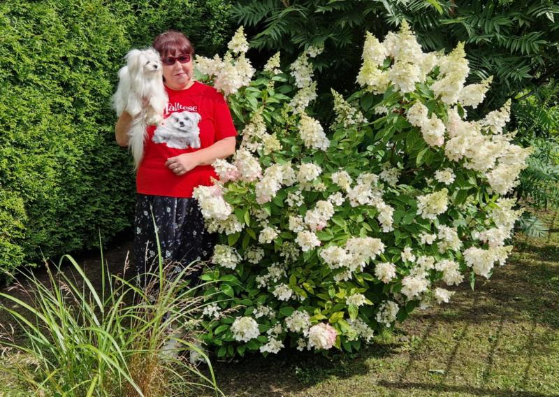 Ulvi2016 uploaded   261  day/s  ago