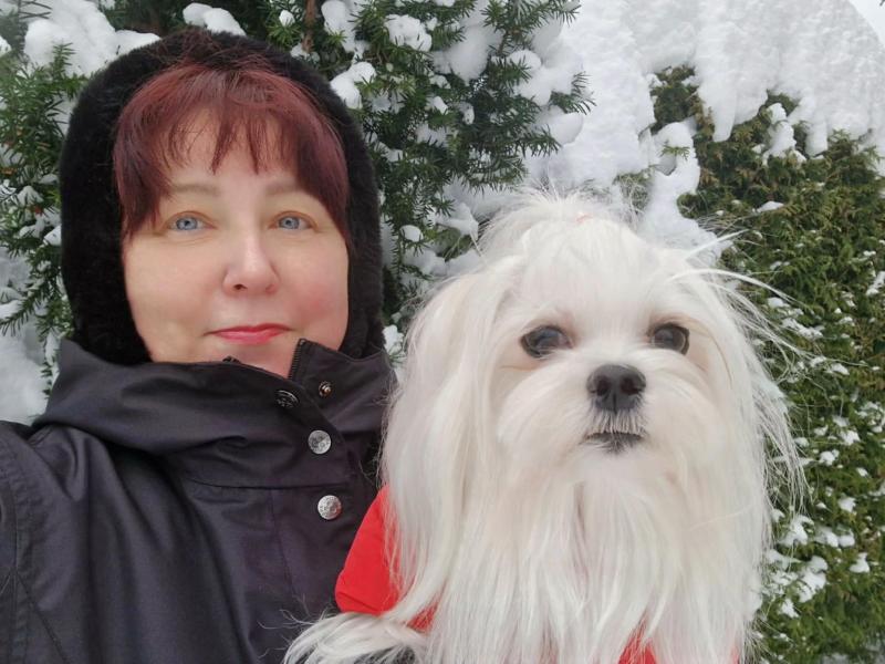 Ulvi2016 uploaded   99  day/s  ago