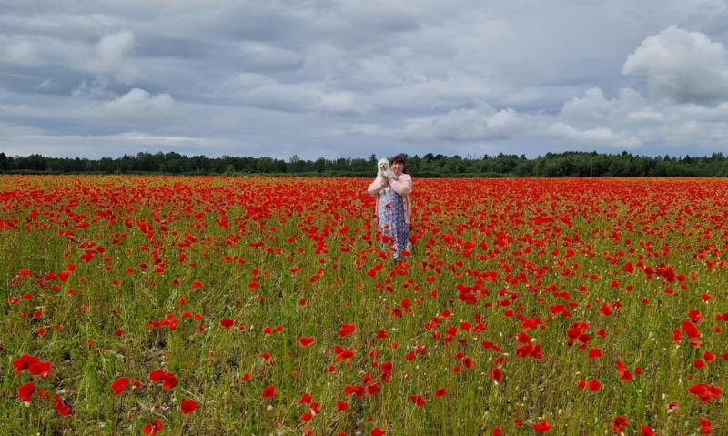 Ulvi2016 uploaded   311  day/s  ago